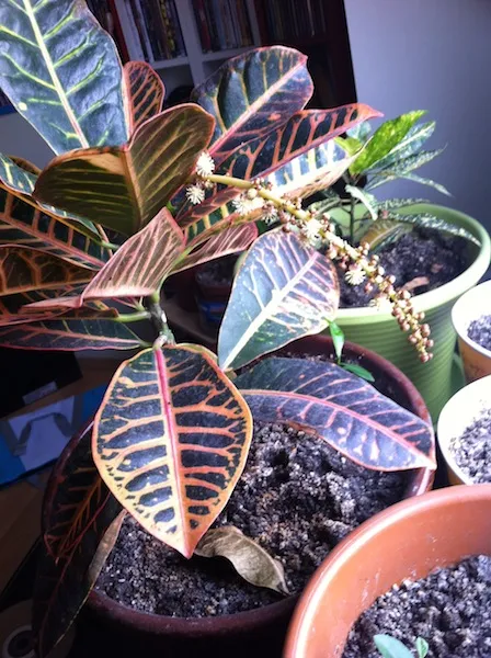 Something happened to our Kraton Görseli