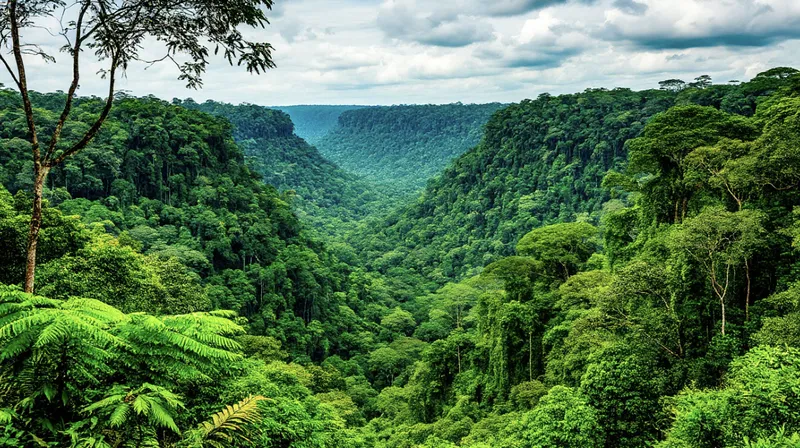 Amazon Yağmur Ormanları 3 amazon yagmur ormanlari